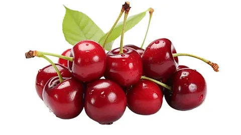تصویر 2 از فروش کنسانتره آلبالو + قیمت خرید به صرفه